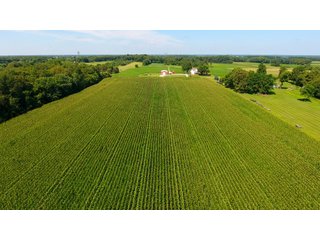 Property photo 13 - LAND AUCTION - 75.2+/- ACRES OFFERED IN 7 TRACTS IN ST. JOSEPH CO., INDIANA